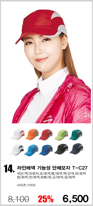 ��ü����,�����ڼ�,������,��ü��ȣȸ����,��ȣȸ����