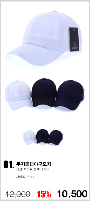 ��ü����,�����ڼ�,������,��ü��ȣȸ����,��ȣȸ����