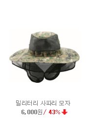 ��ü����